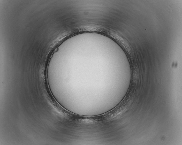 X0000094070394200711091157