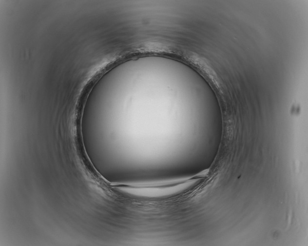 X0000094070395200711091157