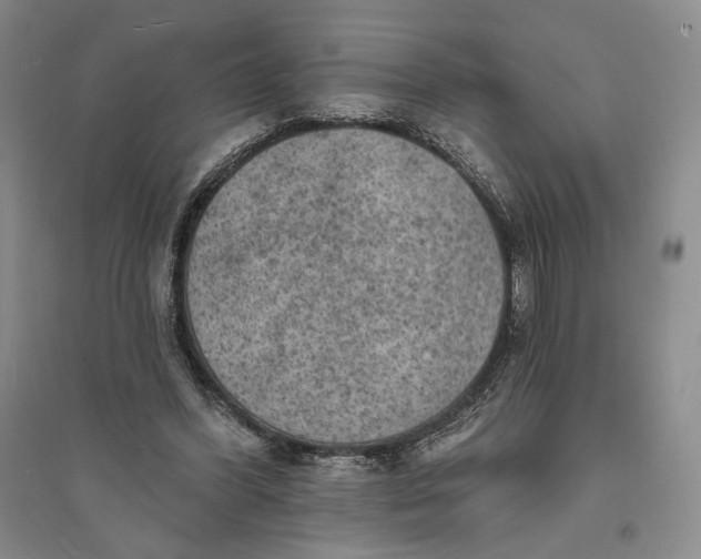 X0000094070396200711091157
