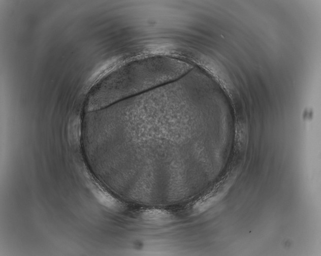 X0000094070397200711091157