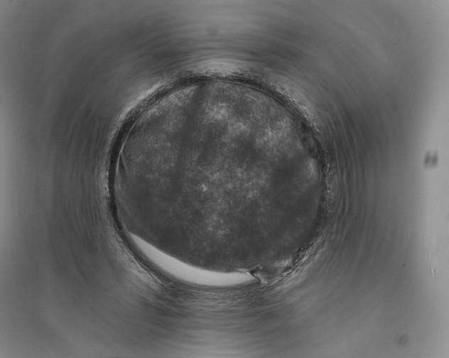 X0000094070399200711091157