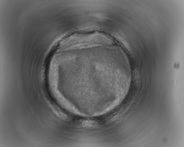 X0000094070400200711091157