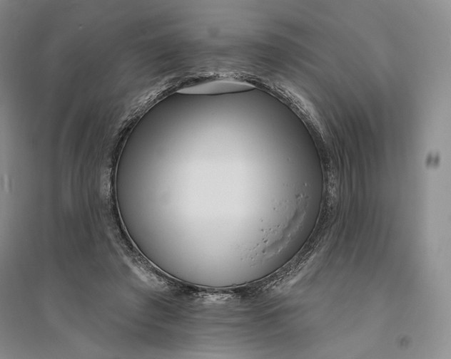 X0000094070401200711091157