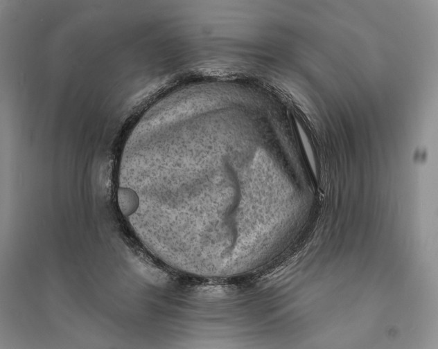 X0000094070404200711091157