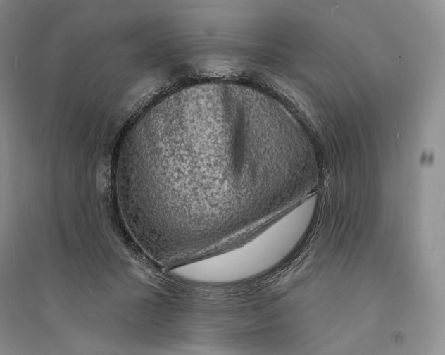 X0000094070407200711091157
