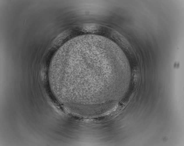 X0000094070408200711091156
