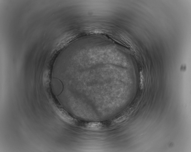 X0000094070410200711091156