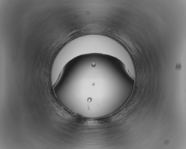 X0000094070413200711091156