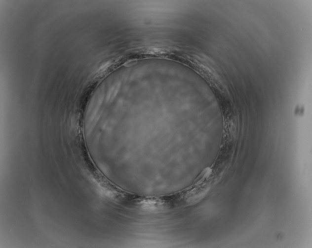 X0000094070415200711091156