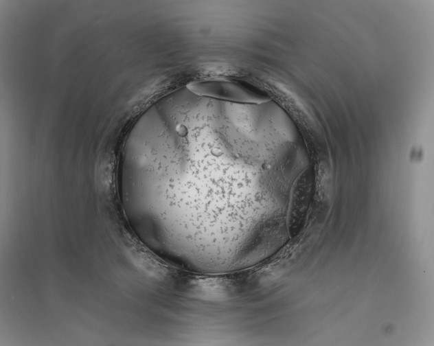 X0000094070417200711091156