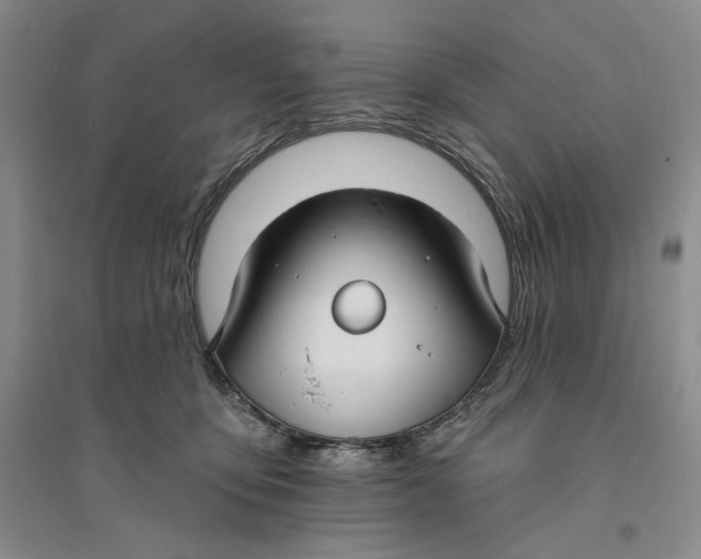 X0000094070419200711091156