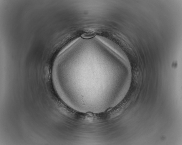 X0000094070420200711091156