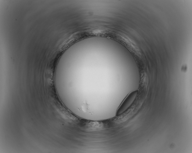 X0000094070421200711091156