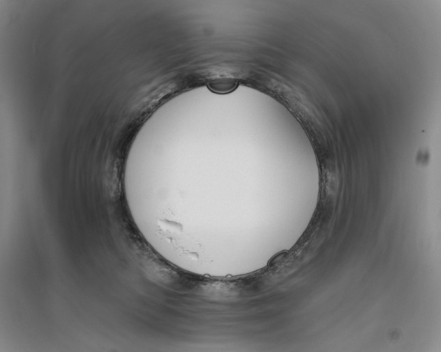 X0000094070422200711091156