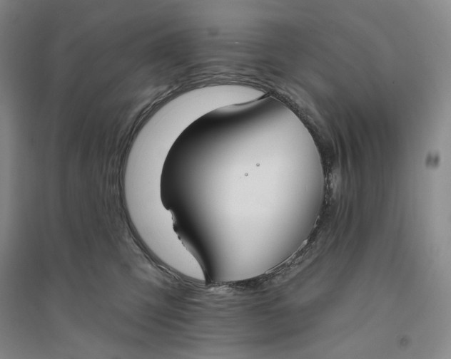 X0000094070423200711091156