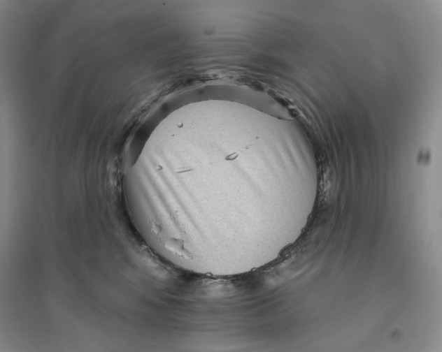 X0000094070424200711091156