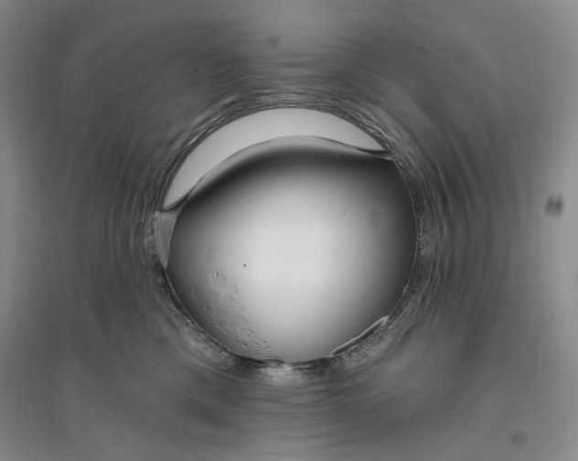X0000094070425200711091156