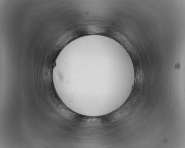 X0000094070426200711091156