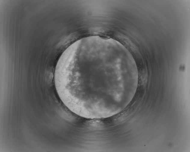 X0000094070427200711091156
