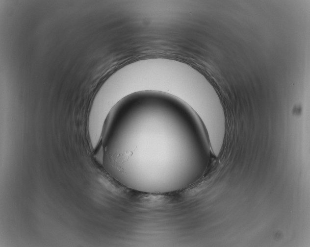 X0000094070428200711091156