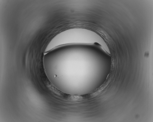 X0000094070429200711091156