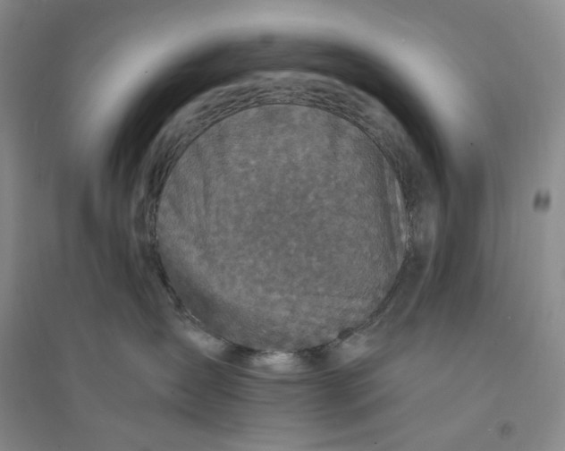 X0000094070431200711091156