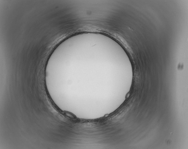 X0000094070433200711091155