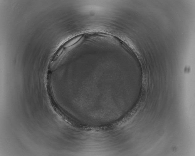 X0000094070434200711091156