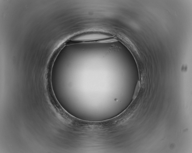 X0000094070436200711091156