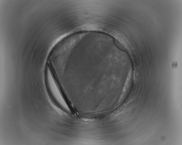 X0000094070438200711091156