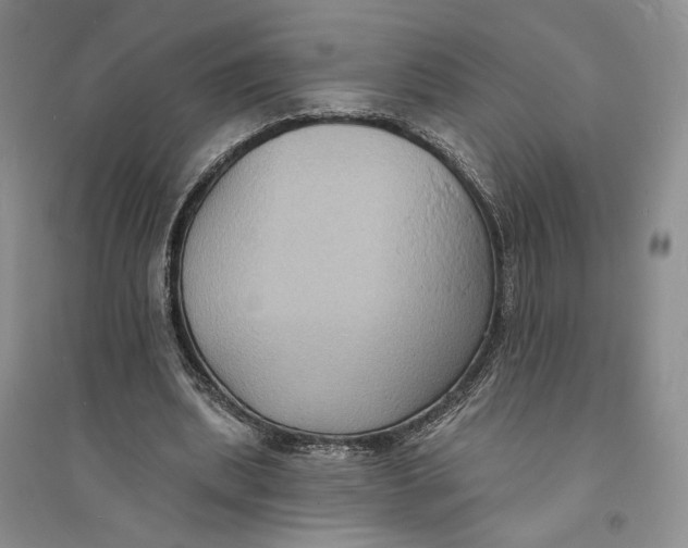 X0000094070439200711091156