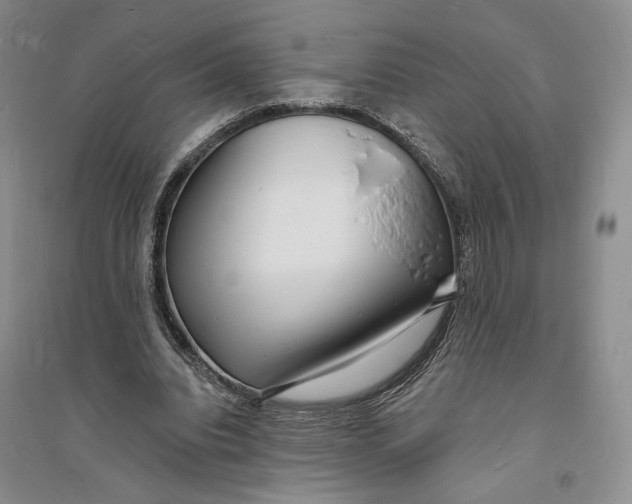 X0000094070440200711091156