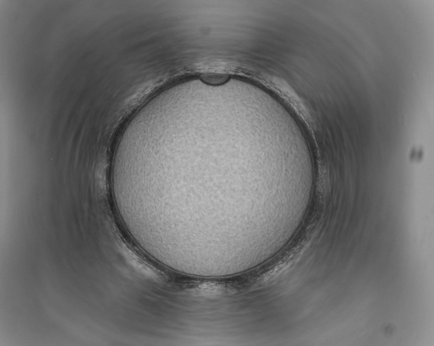 X0000094070441200711091156