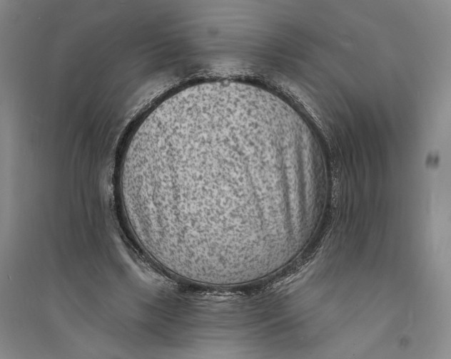 X0000094070443200711091156