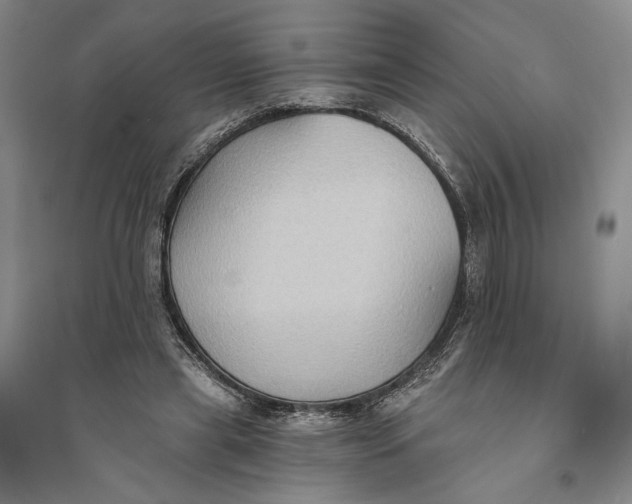 X0000094070445200711091156