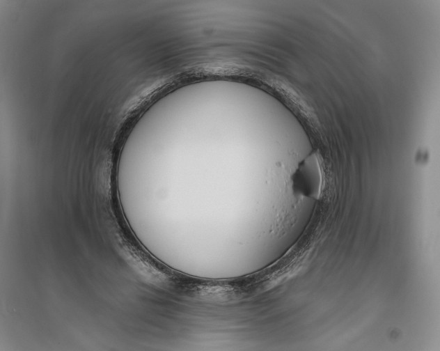 X0000094070446200711091156