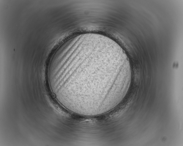 X0000094070447200711091156