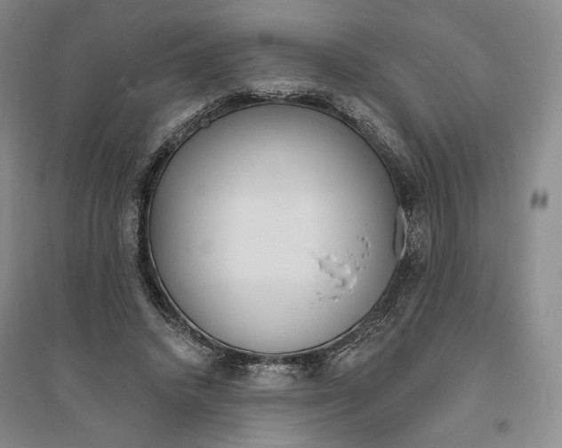 X0000094070448200711091156