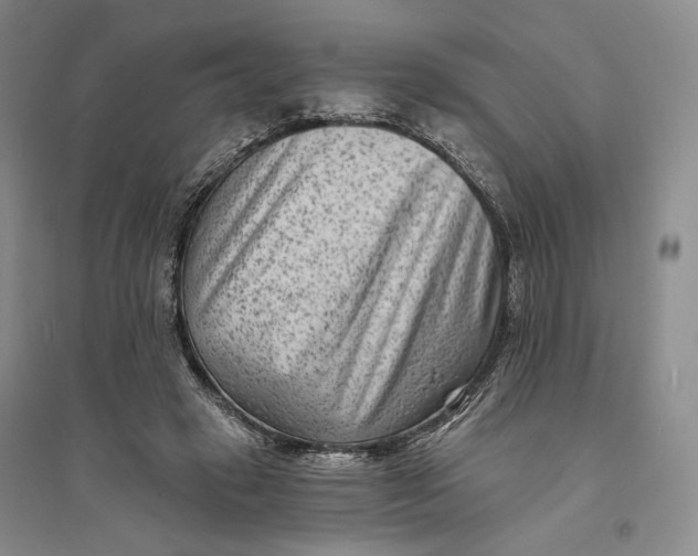 X0000094070449200711091156