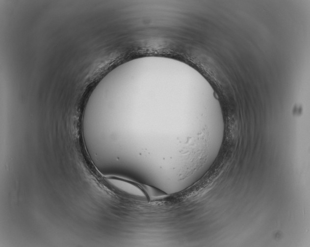X0000094070450200711091156