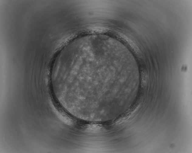 X0000094070451200711091156
