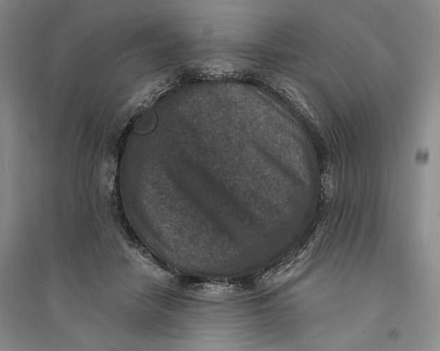 X0000094070458200711091156