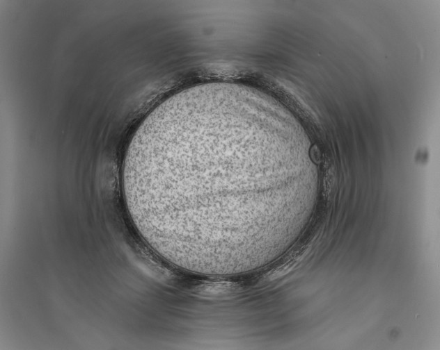 X0000094070459200711091156