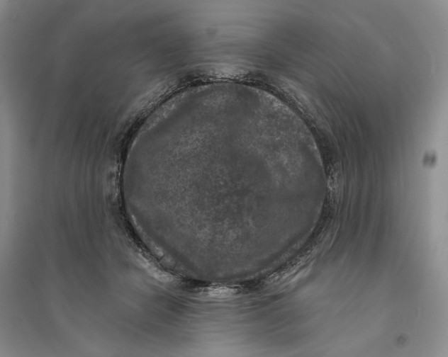 X0000094070462200711091156