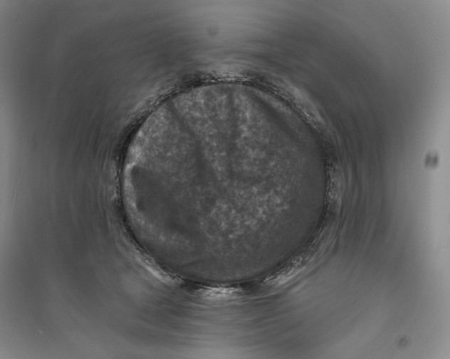 X0000094070465200711091156