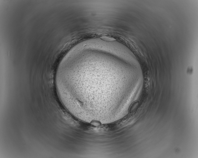 X0000094070466200711091156