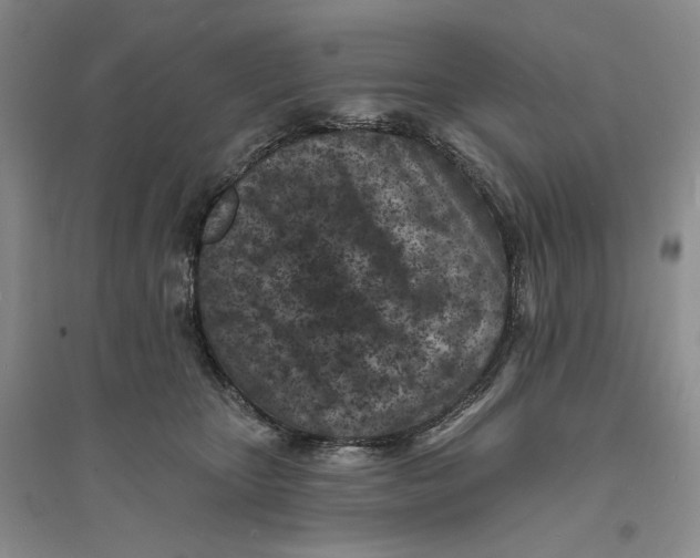 X0000094070467200711091156