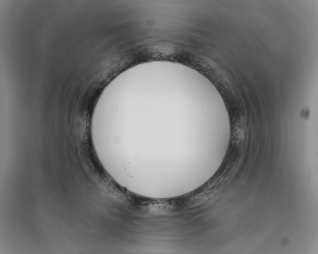 X0000094070468200711091156