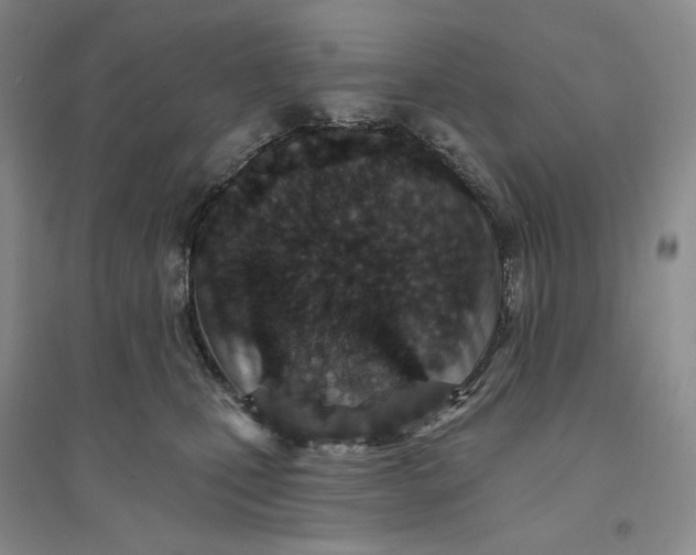 X0000094070471200711091156