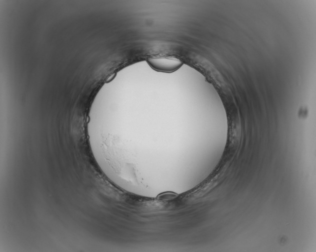 X0000094070473200711091156